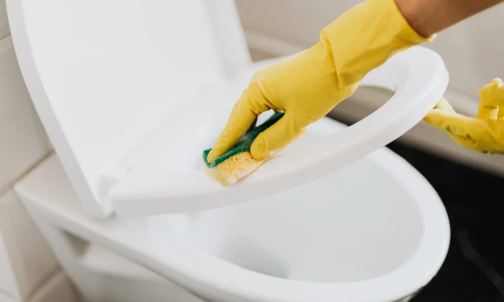 fernkarlascleaning deep cleaning toilet scaled e1707610448152