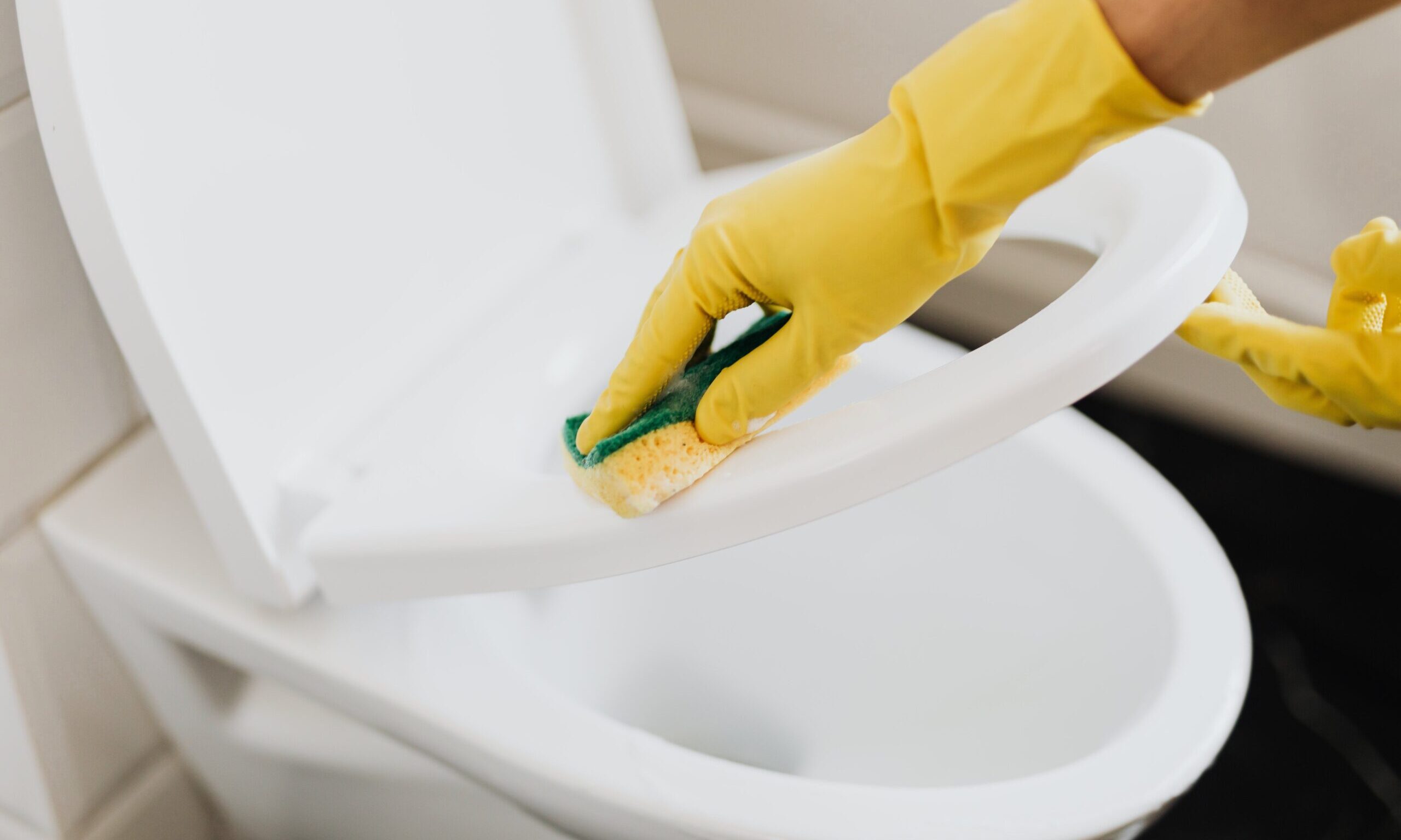Deep Cleaning Services 1 fernkarlascleaning deep cleaning toilet scaled e1707610448152