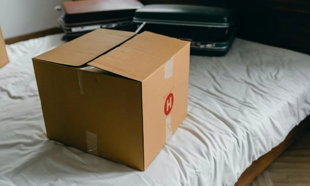 fernkarlascleaning moving boxes scaled e1707610476790