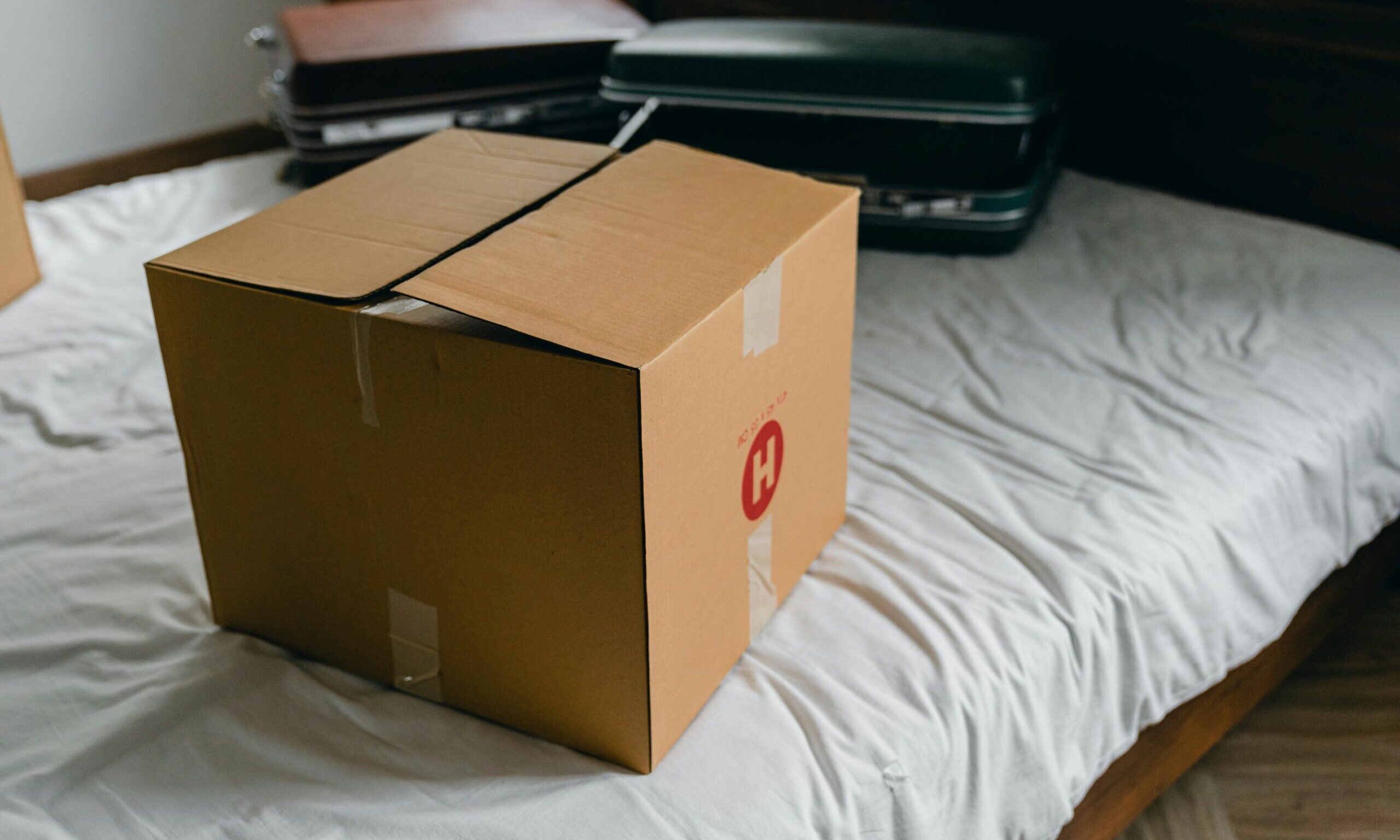 Move-in or Move-out Cleaning Service 1 fernkarlascleaning moving boxes scaled e1707610476790